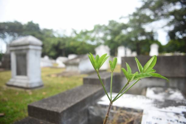 dernier hommage avec plaque funéraire personnalisée