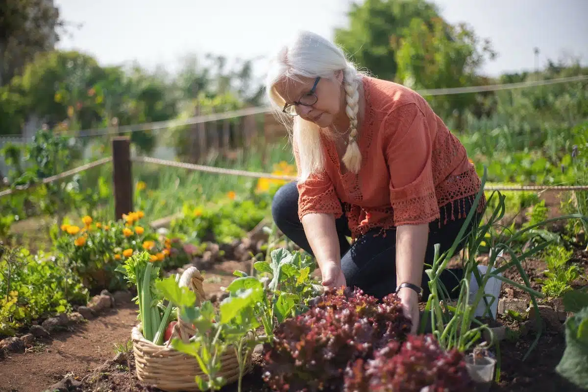 personnes âgées  jardinage
